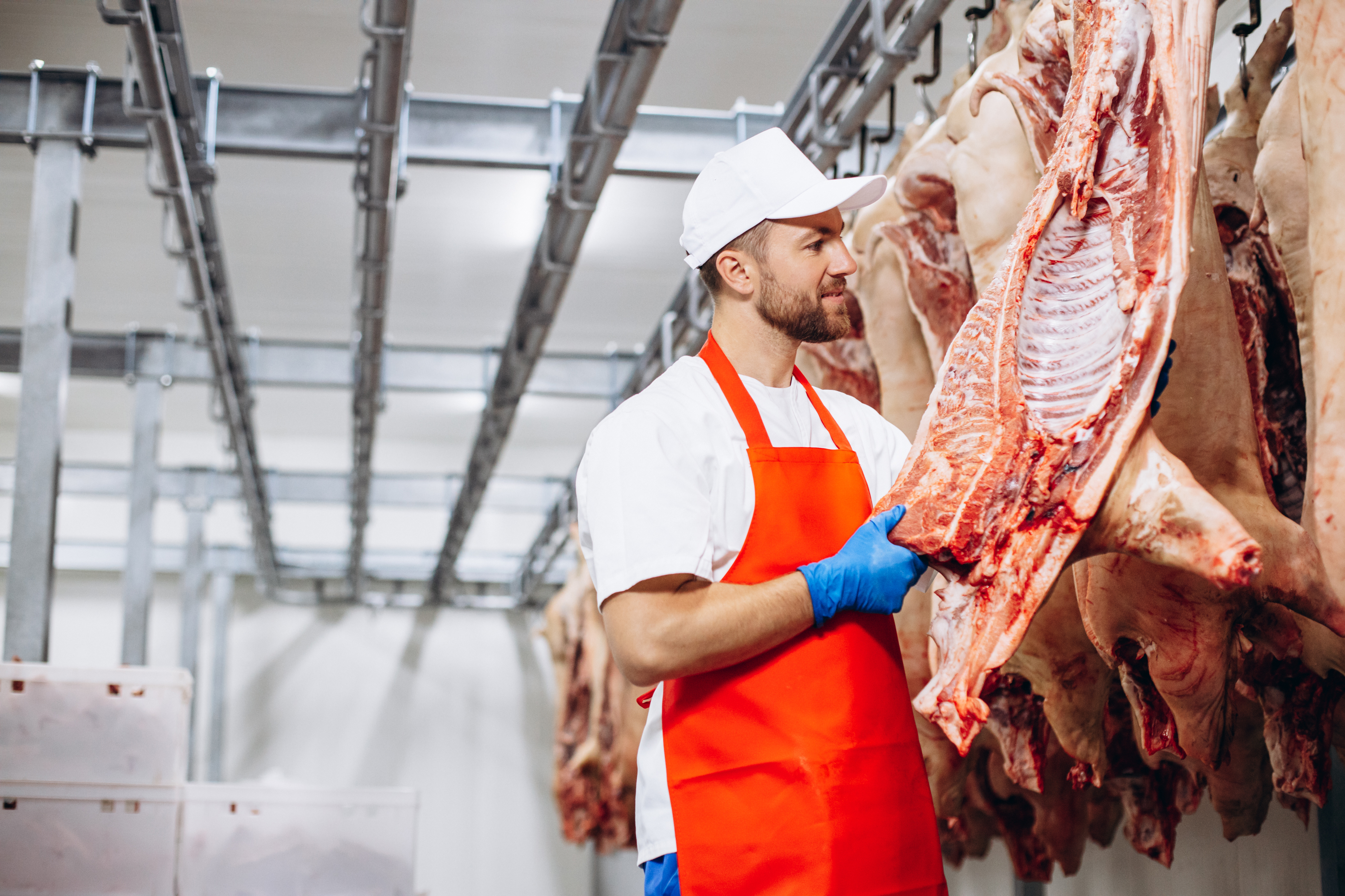 Paraguay realizará “lobby” para asegurar ingreso de la carne bovina al mercado norteamericano