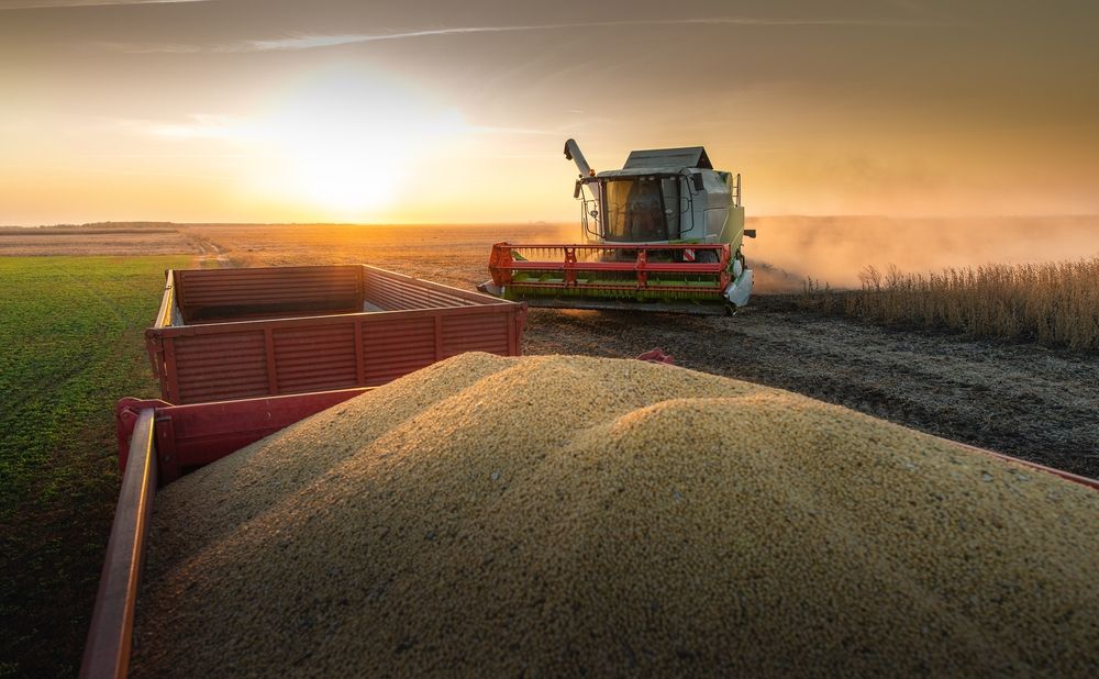 Mercados agrícolas se mantienen a la expectativa del desarrollo de los cultivos de la campaña 2024/25 en EE.UU