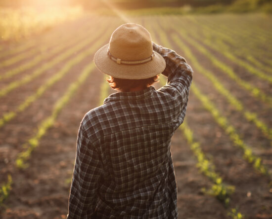 Mejora del nivel del río, baja de precios internacionales y mejor desempeño del sector ganadero: Perspectivas económicas