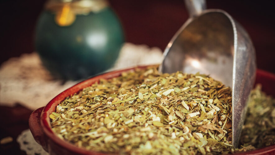 Yerba mate