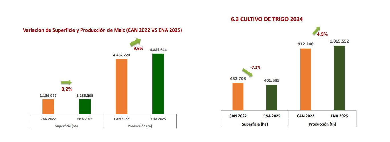 Producción agropecuaria. Variación de la superficie y producción de maíz (CAN 2022 vs ENA 2025)

Cultivo de trigo 2024