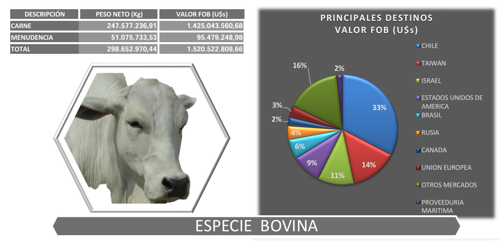 CUADRO

Exportación de carne bovina, otros productos y subproductos de origen animal. Principales destinos