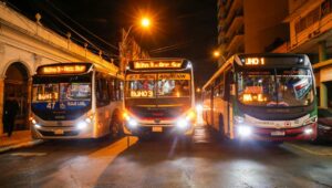 Unidades de transporte de la Red Búho