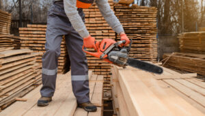 exportaciones forestales