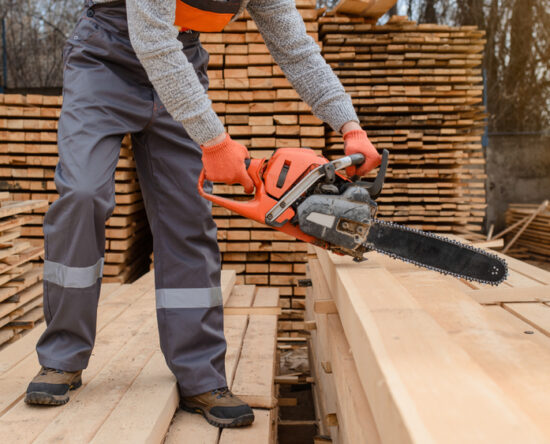 exportaciones forestales